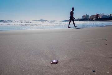 La playa de Melenara se llena de medusas (Foto Antonio Rico)